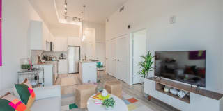 Altis Little Havana Gallery 4