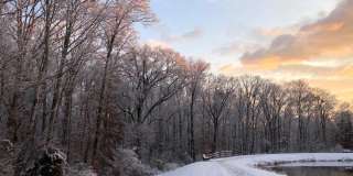 13116 NESTLEWOOD CT Gallery 57