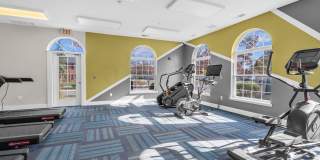 Woodland Gardens Gallery 13