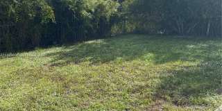 1742 Ali Baba Gallery 12