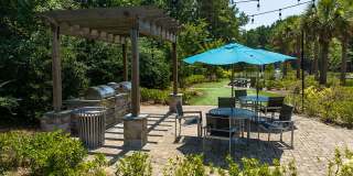 The Falls and Woods of Hoover Gallery 25