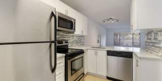 Boca Arbor Club Gallery 15