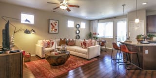 Homecoming at The Preserve Gallery 31