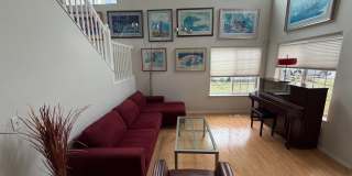 3521  Andree Drive - B Gallery 4