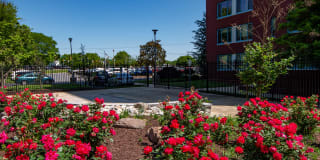 Steward Tower Apartments Gallery 28