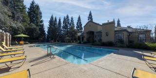 Oak Brook Gallery 23