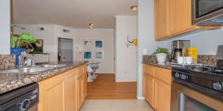 The Orsini Gallery 90