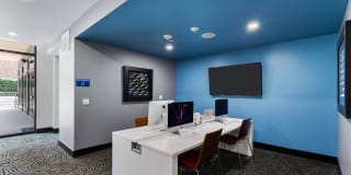 Miro Gallery 29