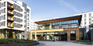 Hyde Square Gallery 6