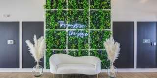 The Aster Gallery 12