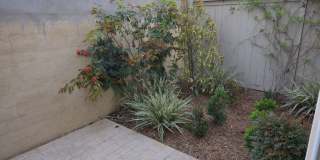 4BD+Loft/3Bathrooms, Sea Glass Blue Strand Gallery 36