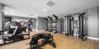 The Galaxy at Polaris Gallery 68