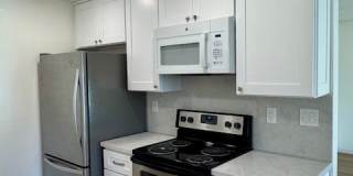 3049 Fostoria Circle - 1 Gallery 1
