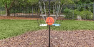 Birchwood Park Gallery 21