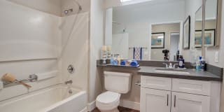 Woodland Meadow Gallery 31