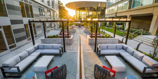 Modern on M Gallery 13