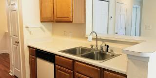 3 Bedroom, 2 Bath with Garage For Rent in New Tampa! Gallery 9