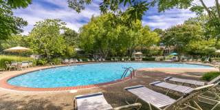 Peninsula Grove Apartments at Town Center Gallery 25