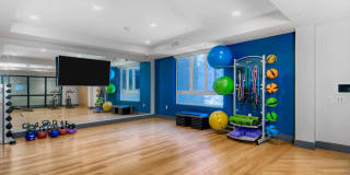 The Lex The Lex Gallery 30