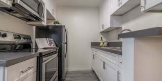 526 Ardmore Gallery 6