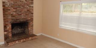 Walk to FSU! 4/2 w/ 2 Living Spaces, Wood Floors, Large Yard, & Washer/Dryer! Avail Aug 6th for $1825/month! Gallery 23