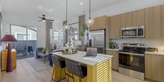 Elysian Homes at Cadence Gallery 1