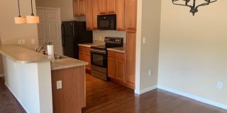 Beautiful Condo! Gallery 11