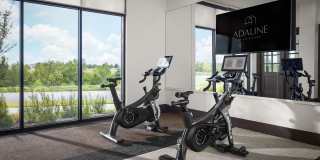 Adaline at the Station Gallery 8