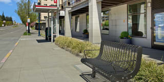 Echo Lake Gallery 35