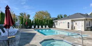 Millennium Park Gallery 1