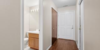 Beach South Gallery 9