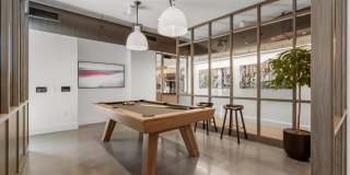 Alder at Allston Yards Gallery 33