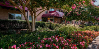 Southview Gallery 12