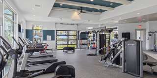 Integra Myst Gallery 28