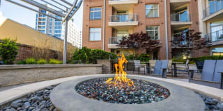The Mint 425 Apartments Gallery 3