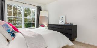 Essex Apartments Gallery 9