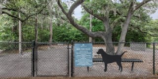 Arbor Trace Gallery 28