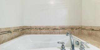 42385 TRELLIS Square Gallery 23