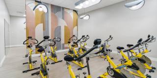 Sofi Ocean Hills Gallery 27