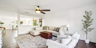 39 Longleaf Coral Gallery 7