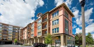 Maitland City Centre Gallery 24