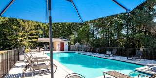 Meadow Wood Gallery 25