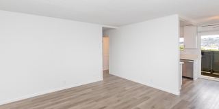 Ocean Vista Gallery 30