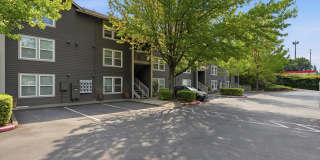 Barbur Heights Gallery 24