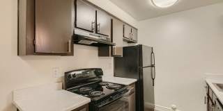 Rise Skyview Gallery 60