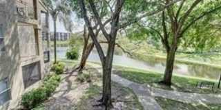 1745 Palm Cove Boulevard Gallery 20