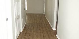 Charming 3/2 home in Port Tampa Gallery 14