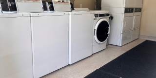 Meadowlark Gallery 12