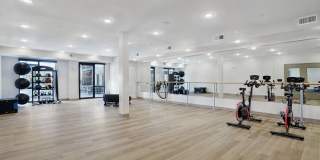 The Whitney Gallery 19