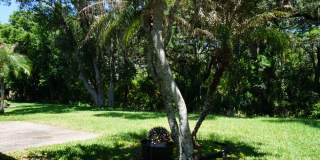 Age 55+ community of Ridgewood Lakes Gallery 17